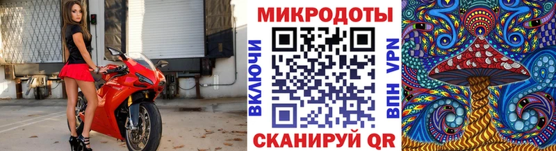 хочу   Малгобек  Псилоцибиновые грибы мицелий 